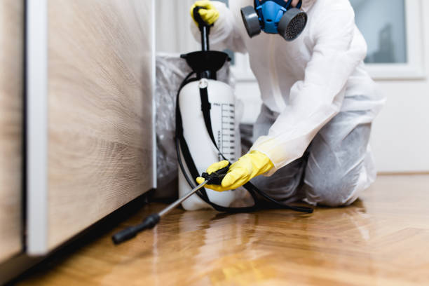 Best Flea Control Services  in Monroe, OH