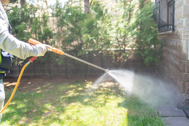 Best Insect Control  in Monroe, OH
