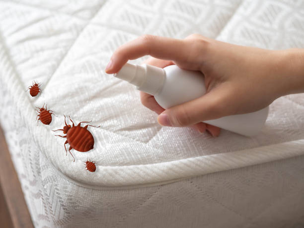 Best Affordable Pest Control Services  in Monroe, OH